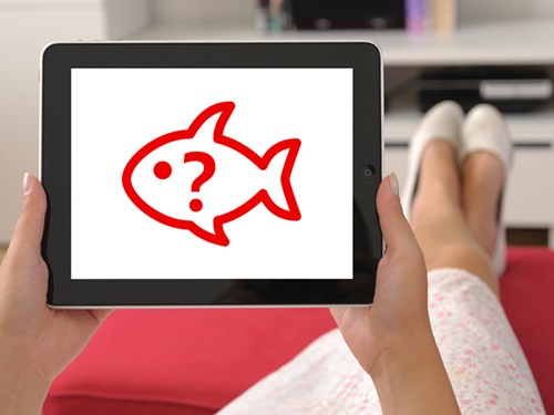 Niet terugbellen! Hoe je callback phishing e-mails kan herkennen en vermijden.
