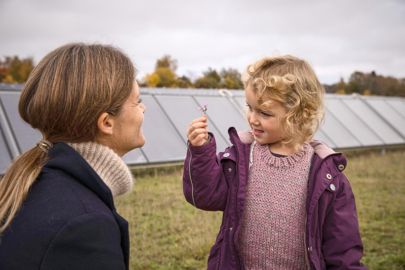 Groen Lenen, de ideale duurzame lening voor zonnepanelen