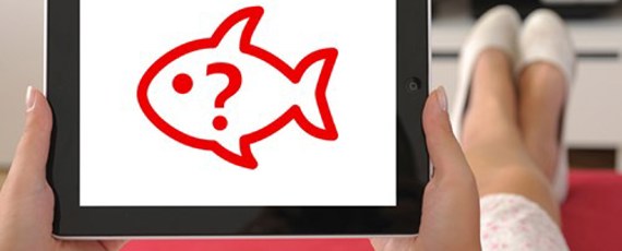 Call Back Phishing 0323